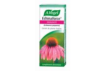 ECHINAFORCE 100ML