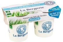 YAOURT BREBIS DEMI ECREME 2X125G