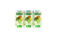 JUS D'ANANAS TETRA 6X20CL