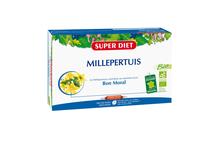MILLEPERTUIS AMP,