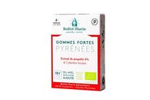 GOMMES FORTES PROTECTRICES