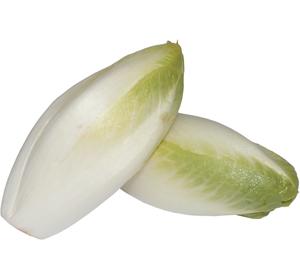 ENDIVE KG