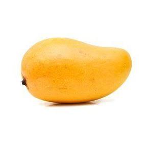 MANGUE ATAULFO SAUVAGE KG