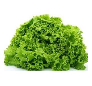 BATAVIA BLONDE PIECE