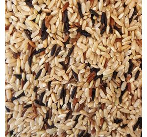 TRIO DE RIZ CAMARGUE VRAC