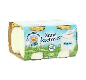 YAOURT NATURE DELACTOSE 4*125GR