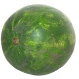 PASTEQUE MINI TIGREE KG