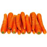 CAROTTE NON LAVEE KG