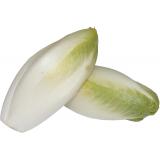 ENDIVE KG