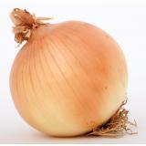 OIGNON JAUNE NOUVEAU KG