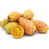 FIGUE DE BARBARIE KG