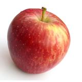 POMME BIN'S GALA  KG