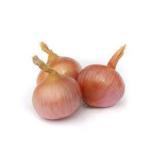 OIGNON ROSE ROSCOFF KG