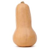 COURGE BUTTERNUT KG