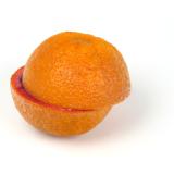 ORANGE SANGUINELLO KG