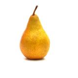 POIRE XENIA KG