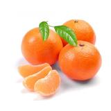 CLEMENTINE ORONULES KG