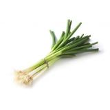 CEBETTE BOTTE