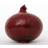 OIGNON ROUGE DEMI SEC KG