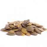 GRAINE DE COURGE VRAC KG