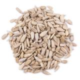 GRAINE DE TOURNESOL VRAC KG