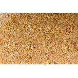 SESAME COMPLET VRAC KG