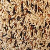 TRIO DE RIZ CAMARGUE VRAC