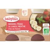 POTS BANANE FRAISE MENTHE