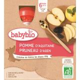 GOURDE POMME PRUNEAU