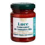 CONCENTRE TOMATE 22% 100G