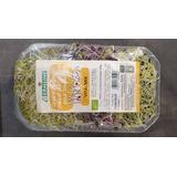 VITAL'MIX RADIS ALFALFA POIREAU GERMES