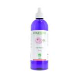 EAU DE ROSE 500ML