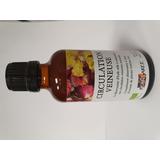 CIRCULATION VEINEUSE